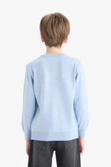 Boys Crew Neck Knitwear Sweater