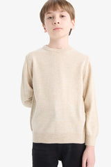 Boys Crew Neck Knitwear Sweater