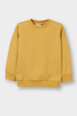 Baby Boy Crew Neck Basic Plain Sweatshirt