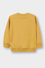 Baby Boy Crew Neck Basic Plain Sweatshirt