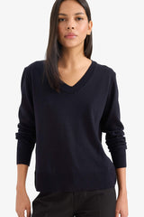 Relax Fit V-Neck Knit Sweater