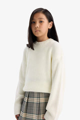 Girl's Standard Fit Crew Neck Knitwear Sweater