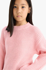 Girl's Standard Fit Crew Neck Knitwear Sweater