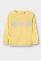 Baby Girl Crew Neck Printed Knitwear Sweater
