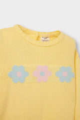 Baby Girl Crew Neck Printed Knitwear Sweater