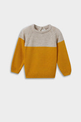 Baby Boy Crew Neck Color Block Knit Sweater