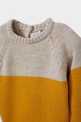 Baby Boy Crew Neck Color Block Knit Sweater