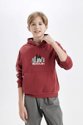 Boys Printed Hooded Kangaroo Pocket Sweatshirt