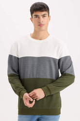 Regular Fit Crew Neck Color Block Jacquard Sweatshirt