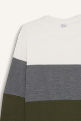 Regular Fit Crew Neck Color Block Jacquard Sweatshirt