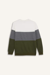Regular Fit Crew Neck Color Block Jacquard Sweatshirt