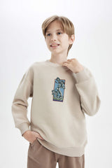 Boys Oversize Wide-Mould Crew Neck Printed Sweatshirt
