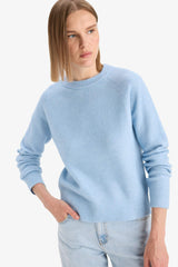 Regular Fit Crew Neck Basic Plain Soft Touch Knit Sweater