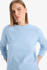 Regular Fit Crew Neck Basic Plain Soft Touch Knit Sweater