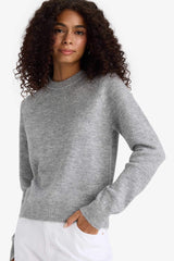 Regular Fit Crew Neck Basic Plain Soft Touch Knit Sweater