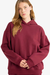 Relax Fit Hooded Basic Plain Thick Sweatshirt