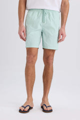 Regular Fit Mesh Lined Above Knee Swim Shorts