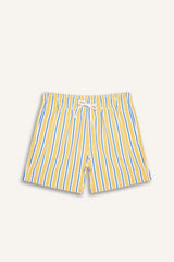 Striped Mesh Lined Short Length Swim Shorts