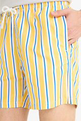 Striped Mesh Lined Short Length Swim Shorts