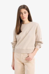 Boxy Fit Crew Neck Basic Plain Thick Sweatshirt