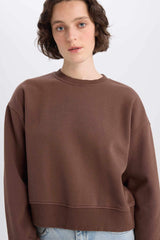 Boxy Fit Crew Neck Basic Plain Thick Sweatshirt