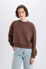 Boxy Fit Crew Neck Basic Plain Thick Sweatshirt