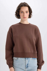 Boxy Fit Crew Neck Basic Plain Thick Sweatshirt
