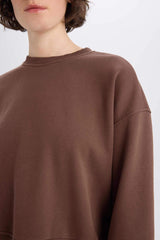 Boxy Fit Crew Neck Basic Plain Thick Sweatshirt