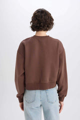 Boxy Fit Crew Neck Basic Plain Thick Sweatshirt