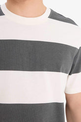100% Cotton Regular Fit Crew Neck Striped Short Sleeve T-Shirt