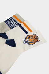 Boy 3-Pack Cotton Long Socks