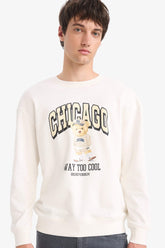 Boxy Fit Crew Neck Printed Sweatshirt