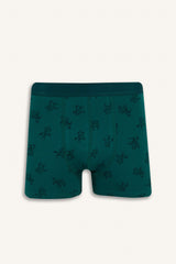Regular Fit Cactus Patterned 3-Piece Boxer