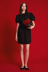 A Line Crew Neck Poplin Midi Dress