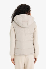 Regular Fit Hooded Zip-Up Puffer Vest
