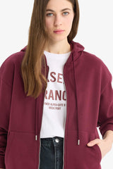 Relax Fit Hooded Basic Plain Thick Zippered Sweatshirt