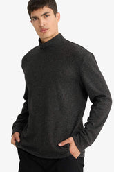 Regular Fit Half Turtleneck Sweatshirt