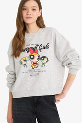 Cool PowerPuff Girls Regular Fit Crew Neck Printed Sweater in Heavyweight Fabric