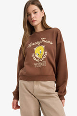 Cool Looney Tunes regular fit crew neck sweater with print in heavyweight material