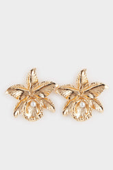 Women Star Gold Earrings