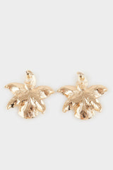 Women Star Gold Earrings
