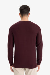 Standard Fit Crew Neck Basic Textured Knitwear Sweater