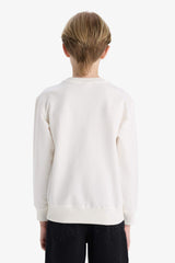 Boys Crew Neck Printed Sweatshirt