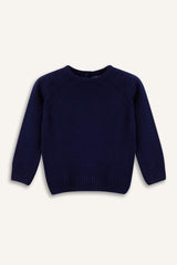 Baby Boy Crew Neck Knit Sweater