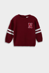 Baby Boy Crew Neck Printed Knitwear Sweater