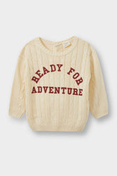 Baby Boy Crew Neck Printed Knitwear Sweater