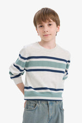 Boys Crew Neck Striped Knit Sweater