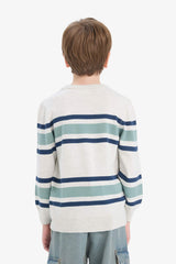 Boys Crew Neck Striped Knit Sweater