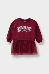 Baby Girl Printed School Long Sleeve Tulle Dress