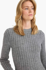 Crew Neck Rib Long Sleeve Mini Dress